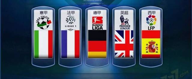 职业尊重的 职业尊重的